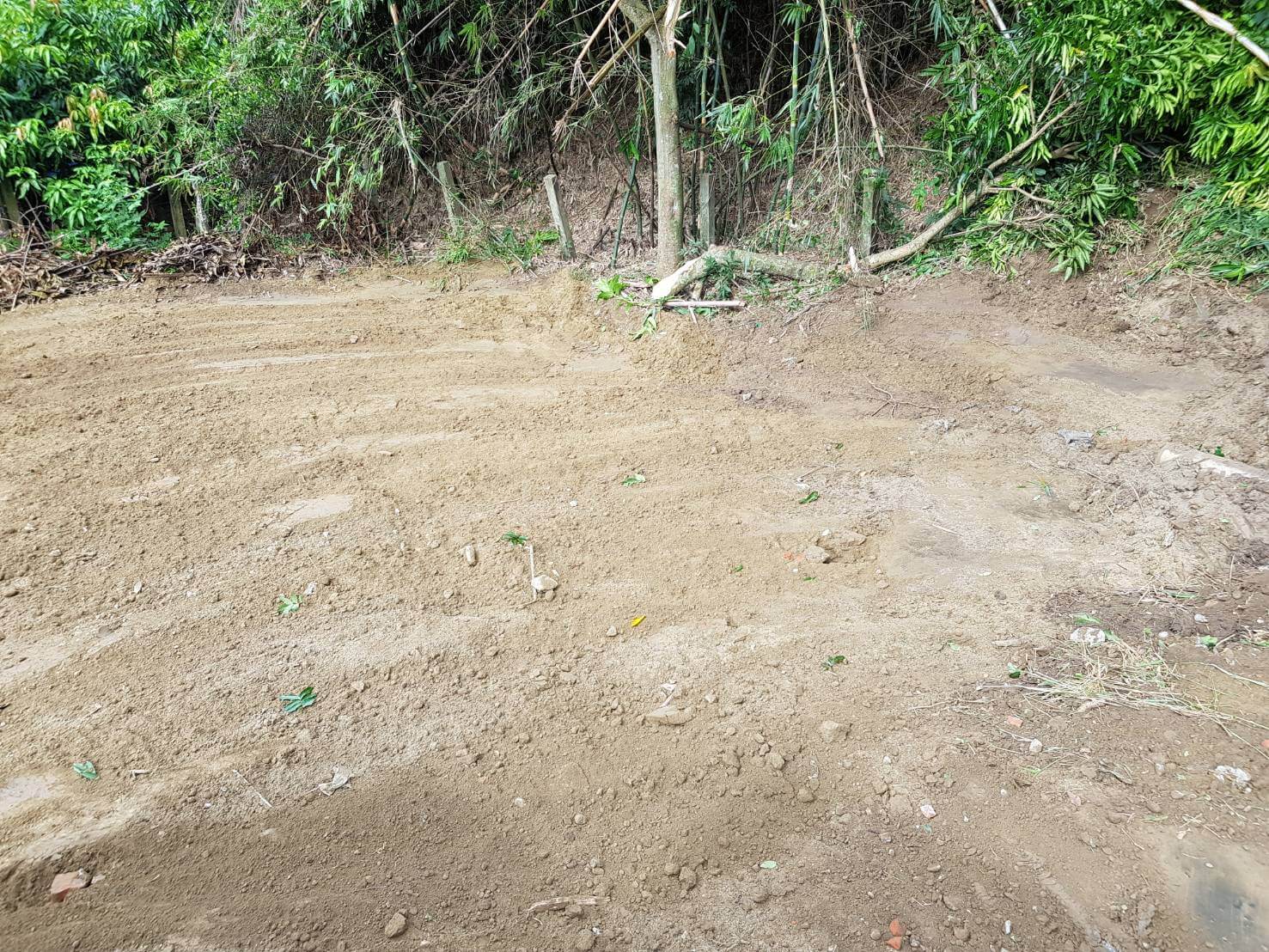 建物拆除工程圖片